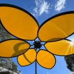 custom yellow flower shade structure