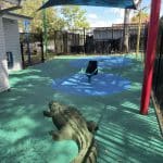Green Rubber wetpour surfacing with green crocodile, spinning chair and inground trampoline