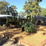 Domed green climber set in bark mulch with timber edging