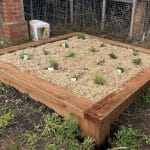 Sensory garden with a timber border edge and garden mulch