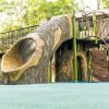 Log Tunnel Slide with Tree Trunk Support Climber in natural tree setting